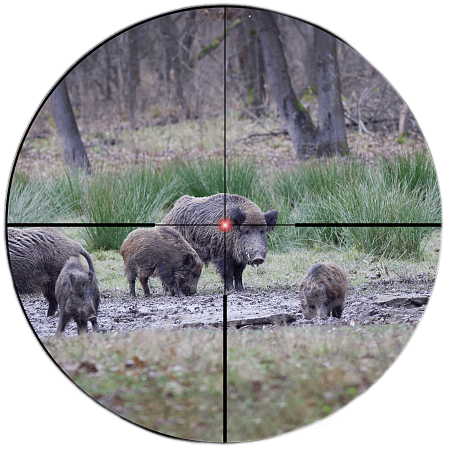 Прицел Vector Optics Constantine 1-6x24 SFP