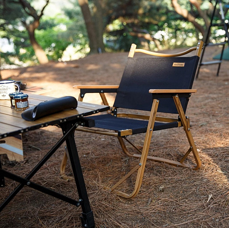 Стул складной Naturehike, черный NH19Y002-D